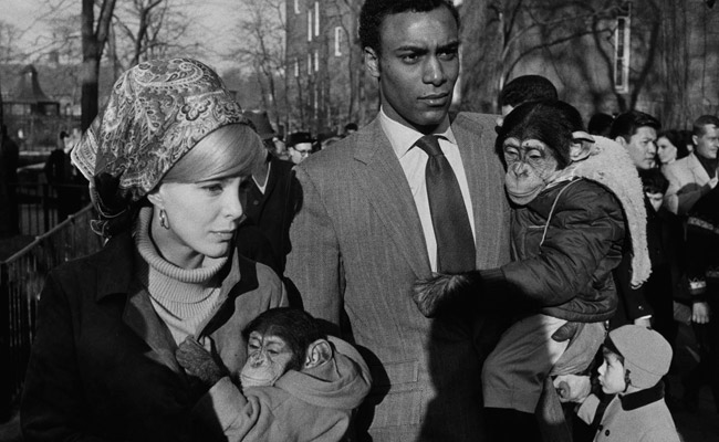 Garry Winogrand