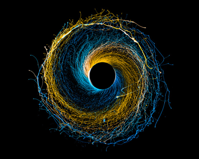 Black Hole Paint in motion