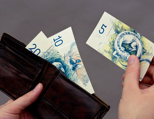 Beautiful Paper Money illustration by Barbara Bernat