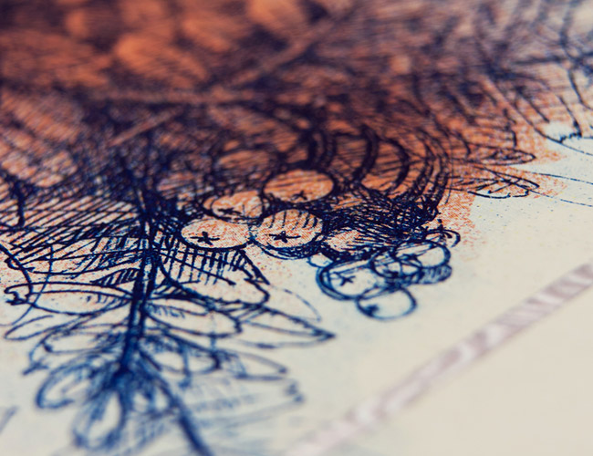 Beautiful Paper Money illustration by Barbara Bernat