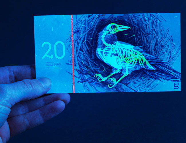 Beautiful Paper Money illustration by Barbara Bernat
