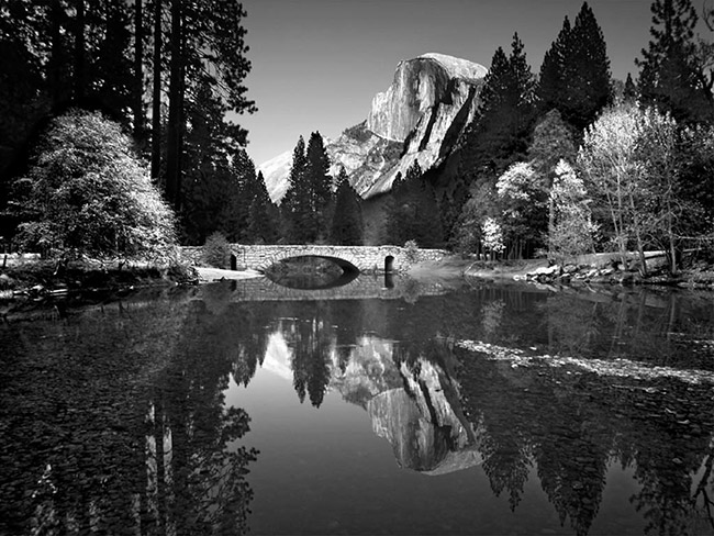 Ansel Adams: The master of the monochrome landscape