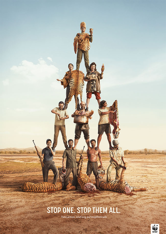 Poachers Campaign kesato blog