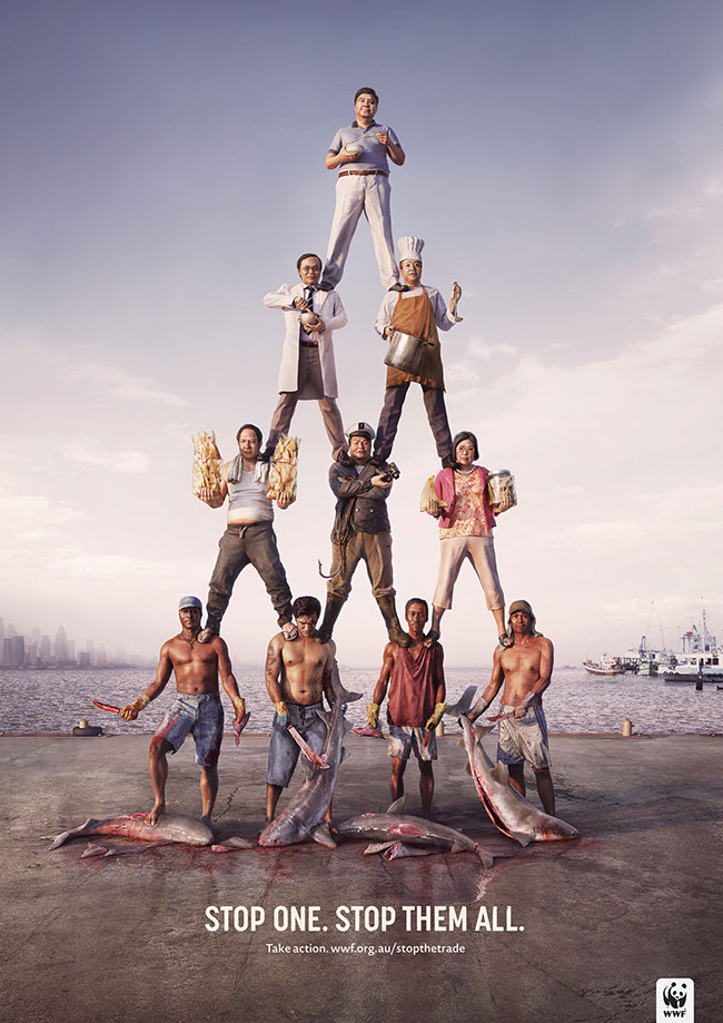 Poachers Campaign kesato blog