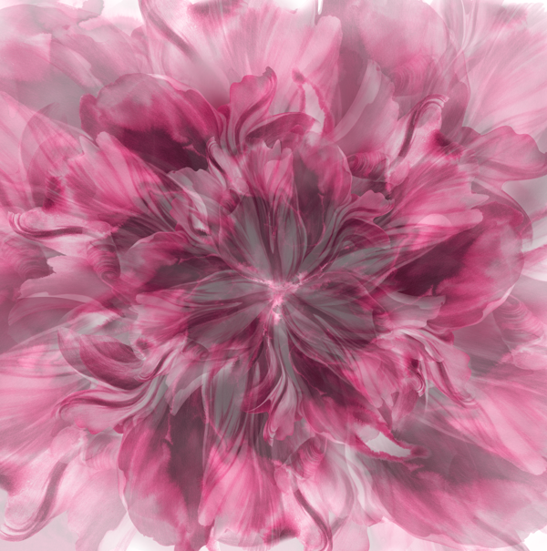 Awesome flower graphics by Kahori Maki