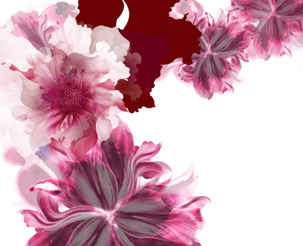 Awesome flower graphics by Kahori Maki
