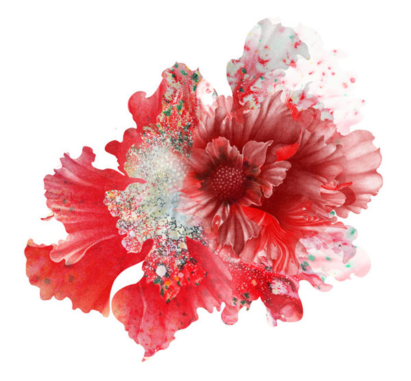 Awesome flower graphics by Kahori Maki