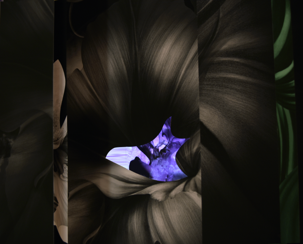 Awesome flower graphics by Kahori Maki